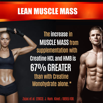 Creatine HCL Capsules with HMB - Workout Supplement for Men & Women, Muscle Builder, Endurance, Strength, Superior to Monohydrate: Instantized for Max Absorption, No Load - Maple Wellness Supplements