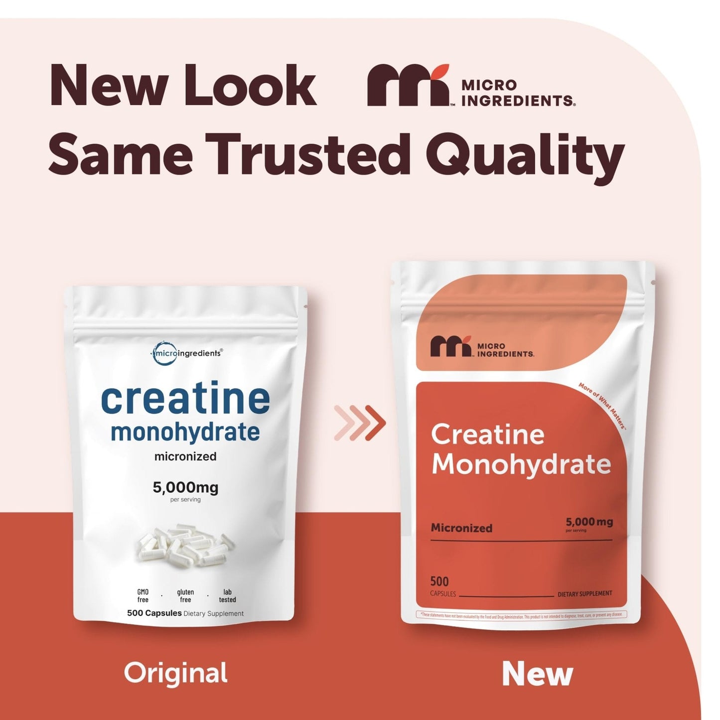 Creatine Monohydrate 5,000mg, 500 Capsules | Pure Creatine Pills – Micronized + Unflavored Powder Source, Easy Absorption | Keto, Non-GMO - Maple Wellness Supplements