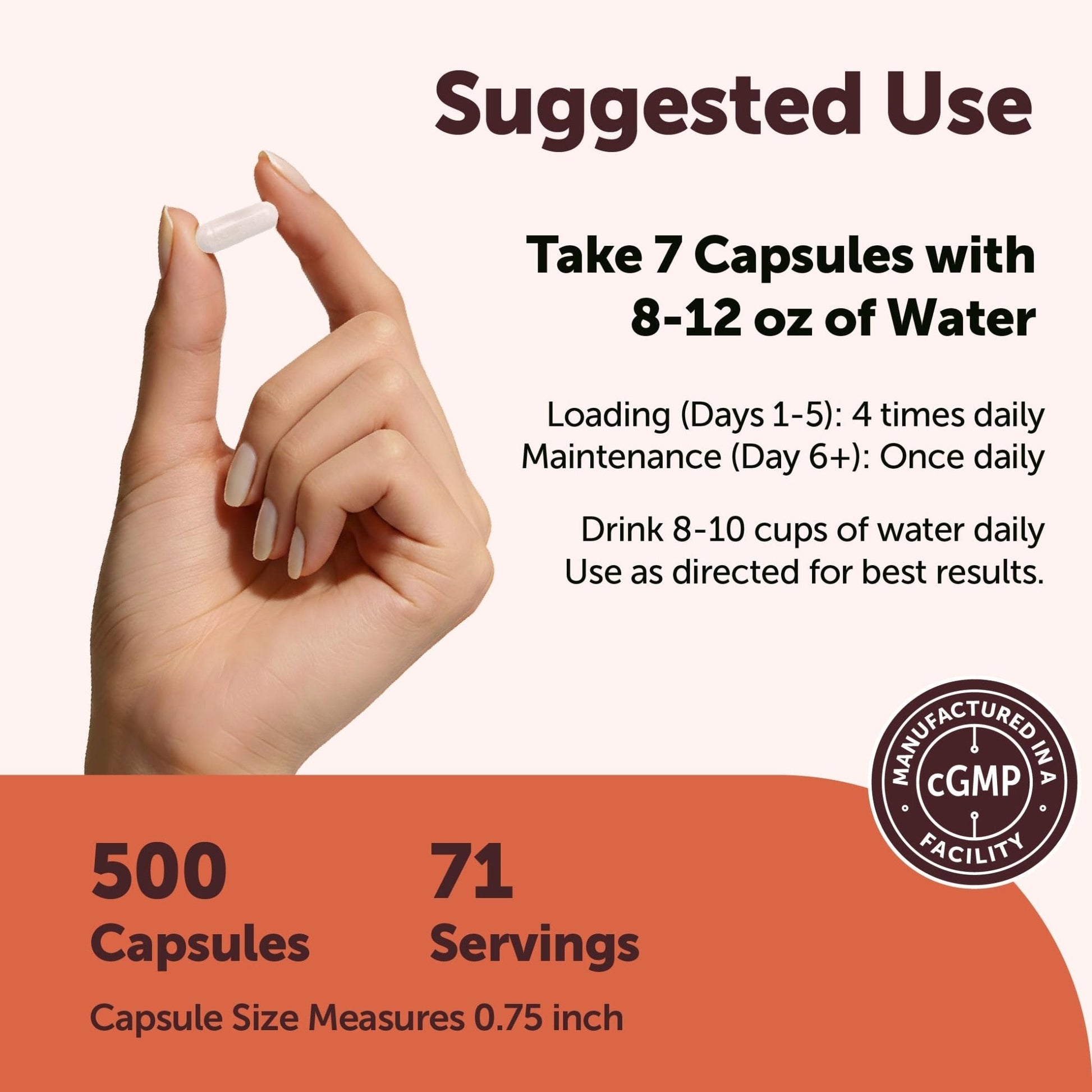 Creatine Monohydrate 5,000mg, 500 Capsules | Pure Creatine Pills – Micronized + Unflavored Powder Source, Easy Absorption | Keto, Non-GMO - Maple Wellness Supplements