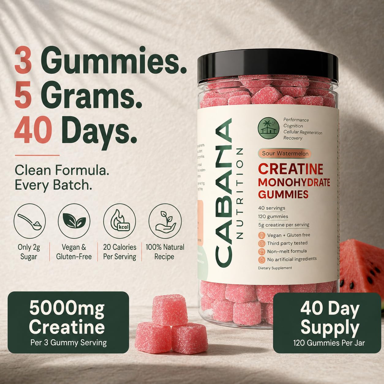 Creatine Monohydrate Gummies 5g - Only 2g Sugar, Made in USA - Sour Watermelon Flavor - Vegan & 3rd Party Tested - Pre & Post Workout Supplement for Women and Men (120 Count, 40 Servings) - Maple Wellness Supplements