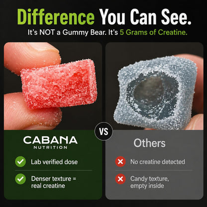 Creatine Monohydrate Gummies 5g - Only 2g Sugar, Made in USA - Sour Watermelon Flavor - Vegan & 3rd Party Tested - Pre & Post Workout Supplement for Women and Men (120 Count, 40 Servings) - Maple Wellness Supplements