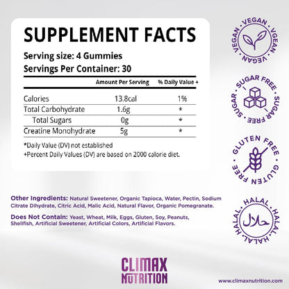 Creatine Monohydrate Gummies - Vegan, Sugar-Free, Gluten-Free - Boosts Muscle Recovery, Strength & Lean Muscle Growth - Brain Health Support - for Men & Women - Blueberry Flavor - 120 Gummies - Maple Wellness Supplements