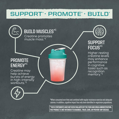 Creatine Monohydrate Powder Micronized PreWorkout Recovery Supplement | Support Muscle Building Strength Training Cognition | Vegan & Keto Friendly Easily Mixes - Maple Wellness Supplements