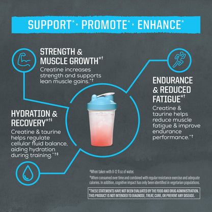 Creatine Monohydrate Powder Taurine Supplement, 5g Creatine Monohydrate 1g Taurine per Serving | Vegan Muscle Strength, Endurance & Recovery Support, Clean Performance Formula | 60 Servings Unflavored - Maple Wellness Supplements