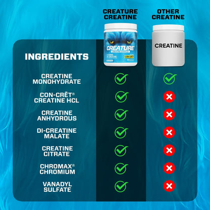 CREATURE® Creatine Complex - Creatine Monohydrate Powder with 5 Types of Creatine Including Con-Crēt® Creatine HCL, Promotes Muscle, Strength, Endurance, Brain Health, Unflavored, 300g 60 Servings - Maple Wellness Supplements