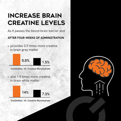 CreGAAtine Micronized Creatine Monohydrate + GAA | Increase Strength, No Water Retention | Boosts Memory & Focus | Single-Serve Packets | 60 Sachets, 30 Servings | (Sachets, Orange) - Maple Wellness Supplements