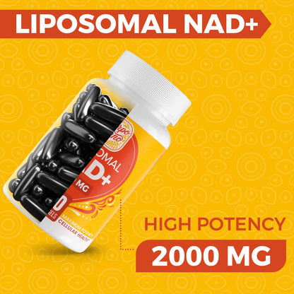 Cuerpo Sano 2000 MG NAD Supplement, Liposomal NAD+ with High Absorption, More Efficient Than Nicotinamide Riboside, Pure & Plus Boosting Supplement, Aging Defense, Metabolism & Cellular, 60 softgels - Maple Wellness Supplements