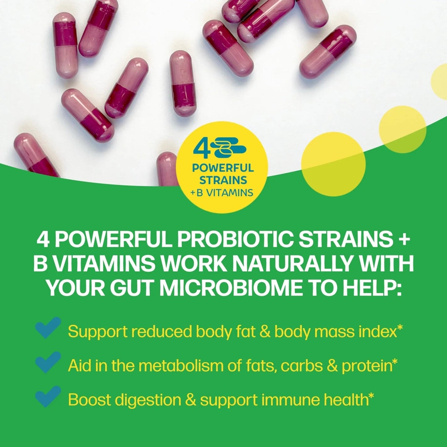 Culturelle Metabolism + Weight Management with SlimBiotics® Probiotic Capsules – 30 Count – Helps Safely Manage Weight - Promotes Healthy Metabolism and Physical & Mental Energy - Maple Wellness Supplements