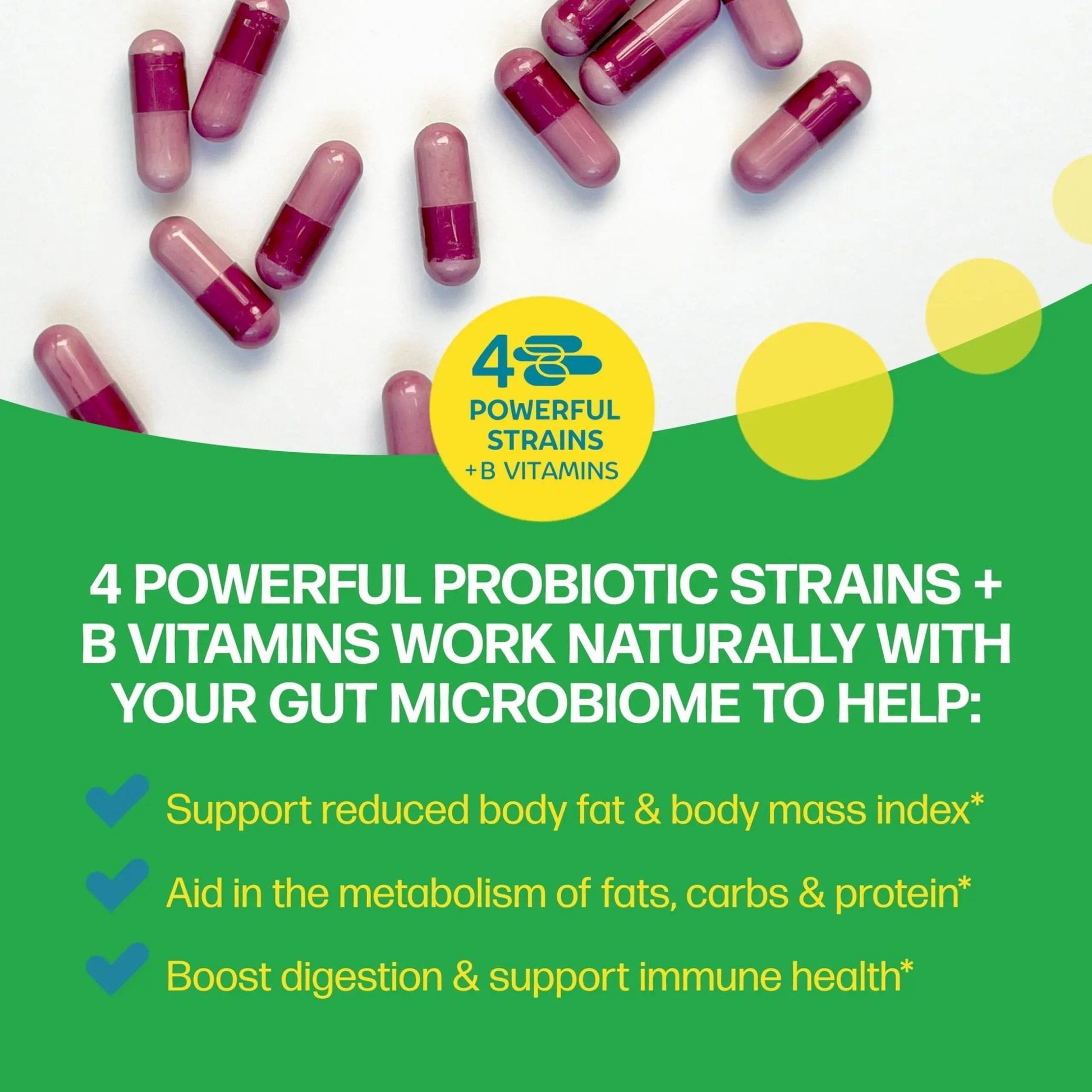 Culturelle Metabolism + Weight Management with SlimBiotics® Probiotic Capsules – 30 Count – Helps Safely Manage Weight - Promotes Healthy Metabolism and Physical & Mental Energy - Maple Wellness Supplements