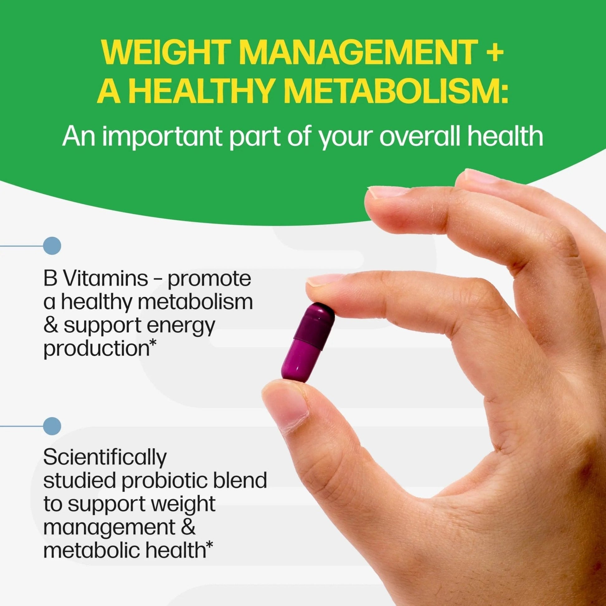 Culturelle Metabolism + Weight Management with SlimBiotics® Probiotic Capsules – 30 Count – Helps Safely Manage Weight - Promotes Healthy Metabolism and Physical & Mental Energy - Maple Wellness Supplements