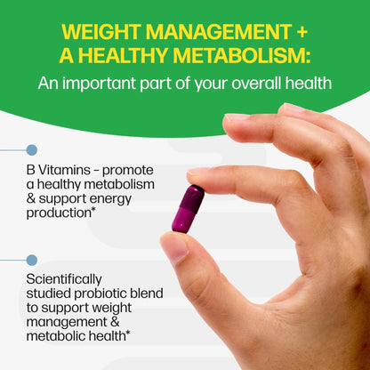 Culturelle Metabolism + Weight Management with SlimBiotics® Probiotic Capsules – 30 Count – Helps Safely Manage Weight - Promotes Healthy Metabolism and Physical & Mental Energy - Maple Wellness Supplements