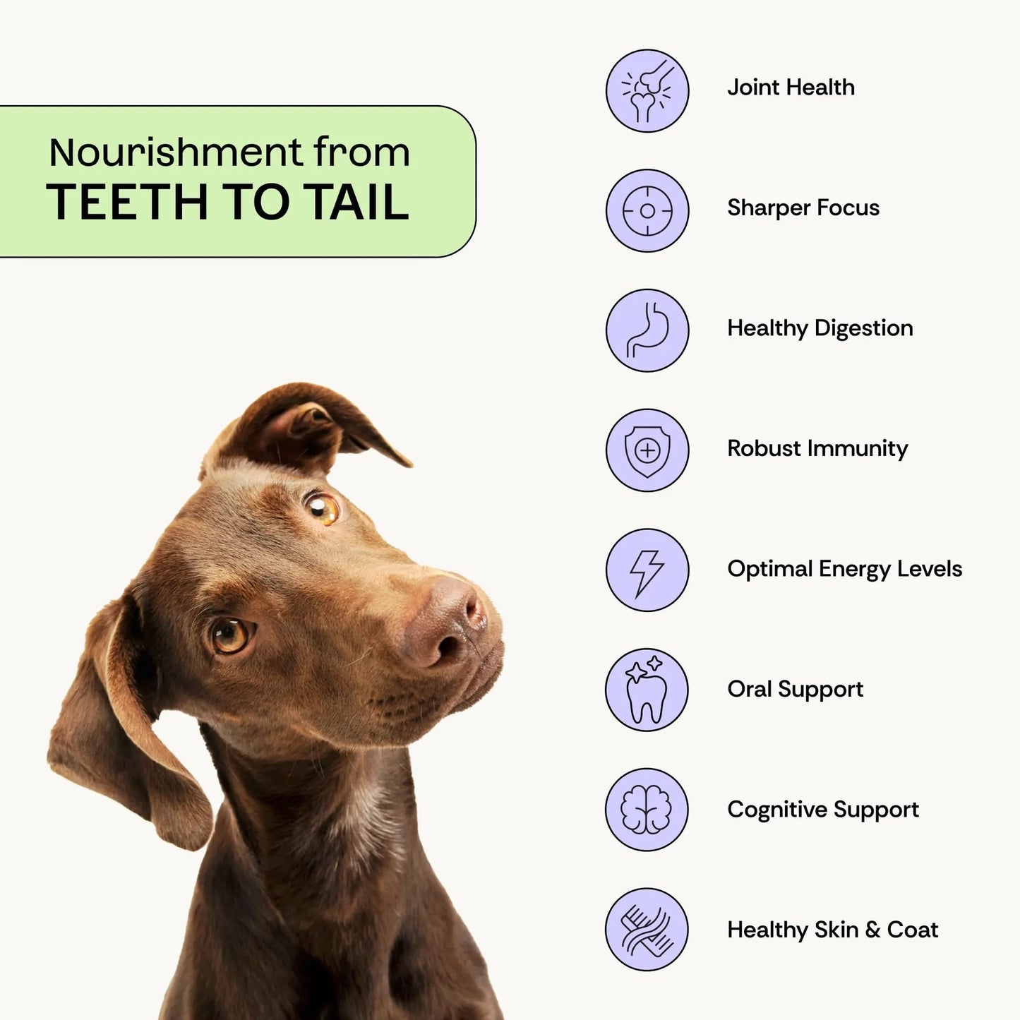 Daily Prebiotic + Postbiotic Dog Supplement Powder | 12-in-1 Support for Gut, Joints, Allergy, Immunity, Calming & Oral Health | Human-Grade Ingredients, No Artificial Flavors-No Fillers - 30 Sachets - Maple Wellness Supplements