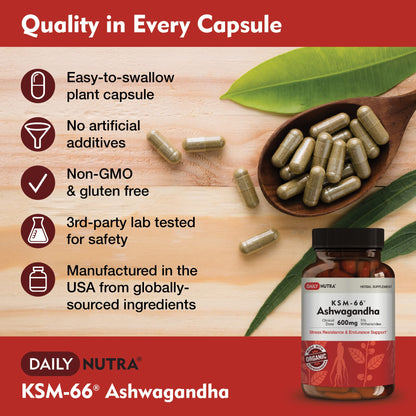 DailyNutra KSM-66 Ashwagandha 600mg Organic Root Extract - High Potency Supplement with 5% Withanolides | Relieves Tiredness, Supports Relaxation, Focus, Energy, & Muscle Growth (90 Capsules) - Maple Wellness Supplements