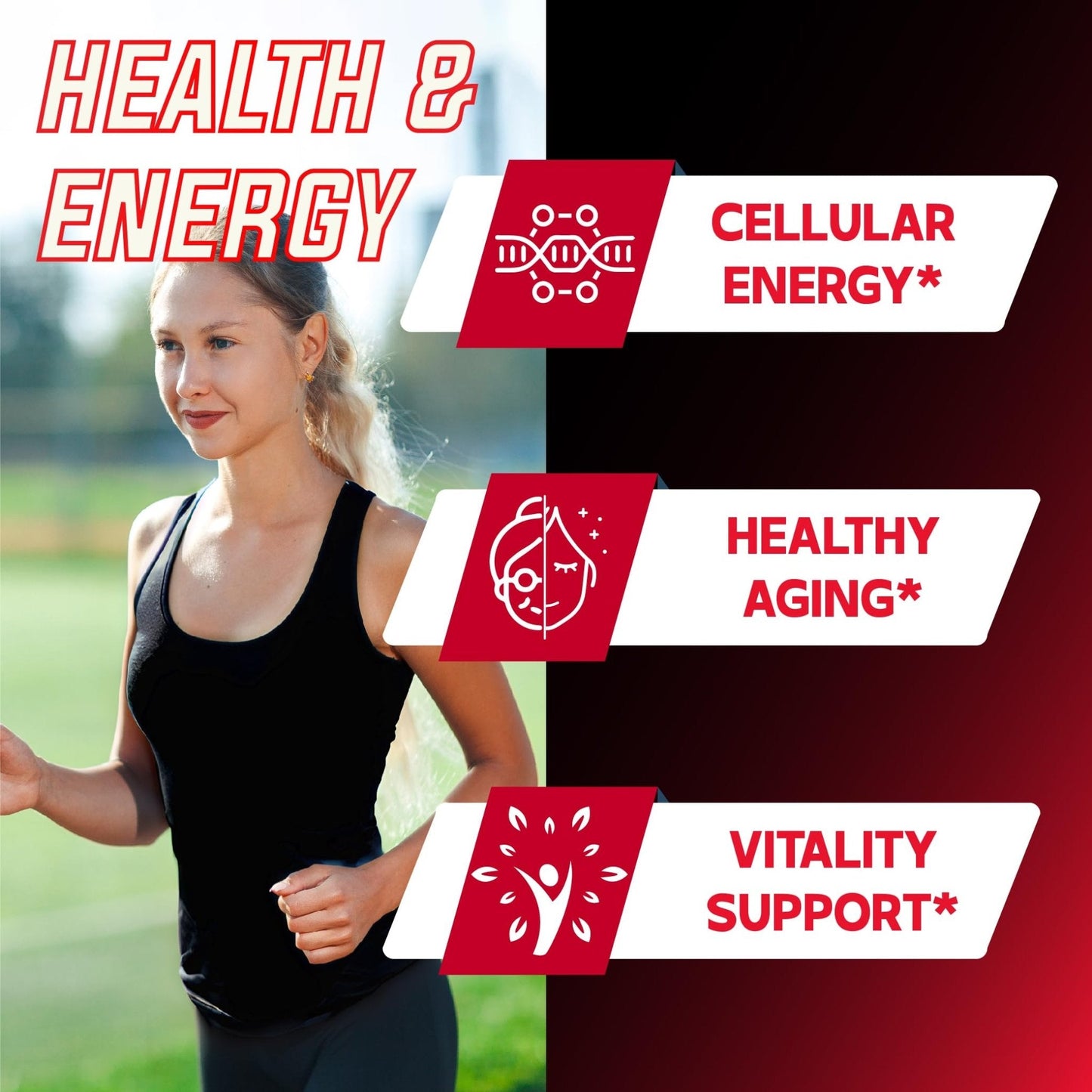 DEDICAD 11in1 NAD Supplement with Nicotinamide Riboside, Quercetin, Resveratrol and 8 More - 2 Month Supply - Maple Wellness Supplements