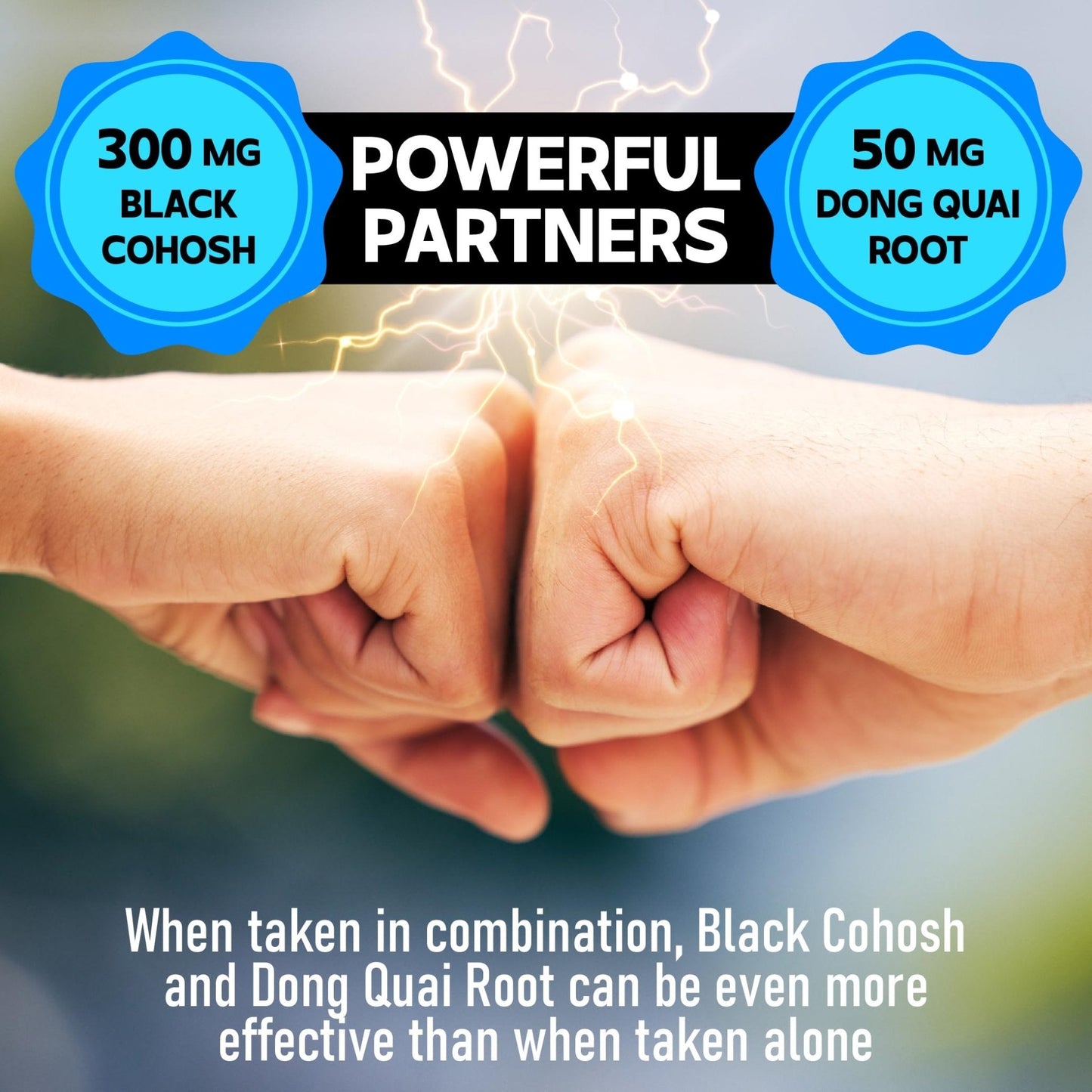 DEDICAD 12in1 Black Cohosh 5-Month Supply for Menopause Support Supplement with Dong Quai, Chasteberry, Red Raspberry, Licorice, Wild Yam & More - 150 Capsules - Maple Wellness Supplements