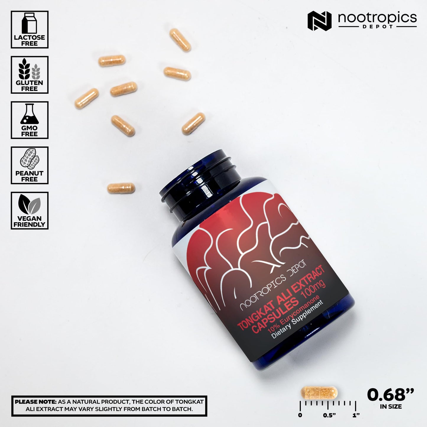 Depot Tongkat Ali Extract Capsules | 100mg | 60 Count | 10% Eurycomanone by HPTLC | Eurycoma longifolia Root Extract - Maple Wellness Supplements