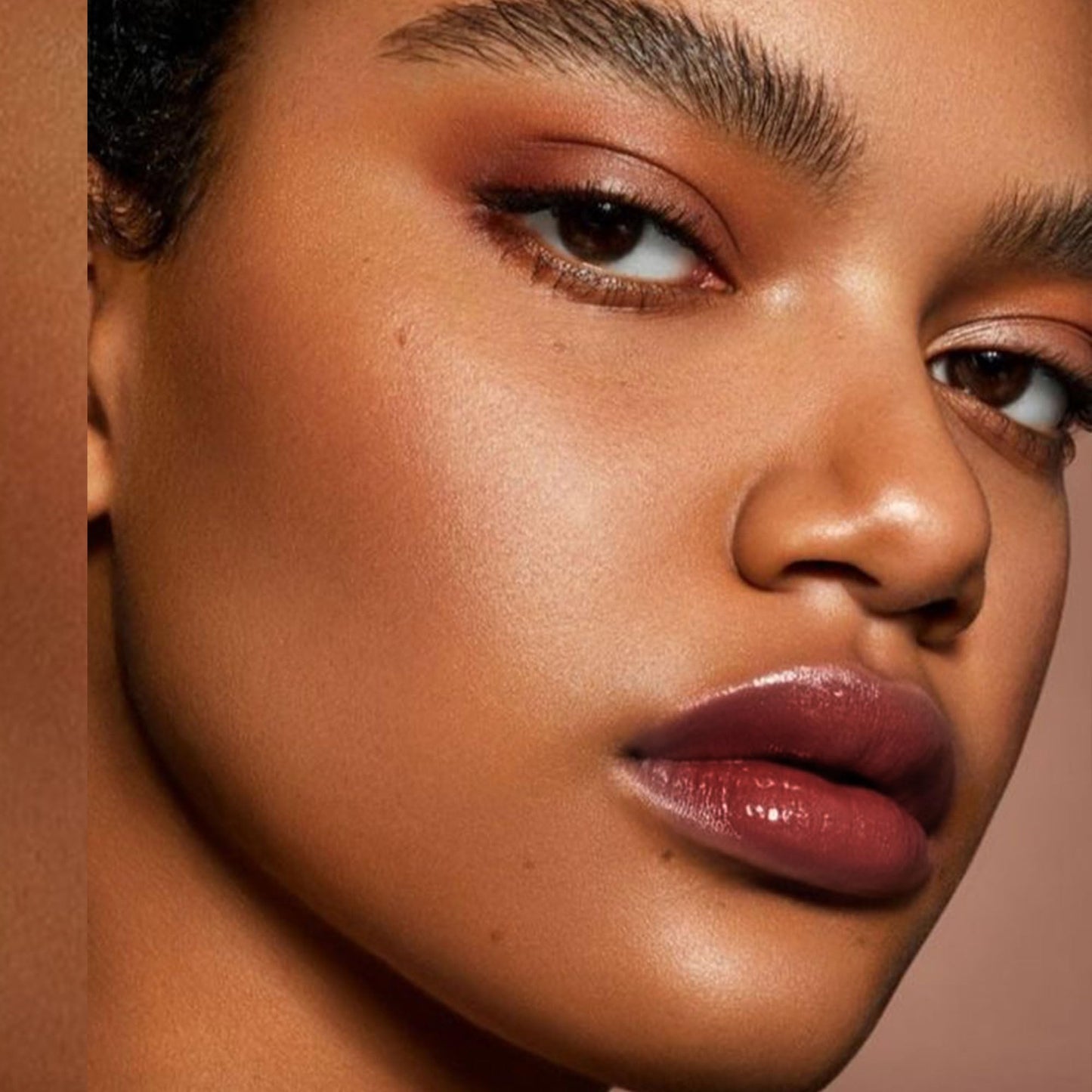 Depuplum Black Berry Lipstick for Women Hydrate Glossy Lipstick Moisture Lip Gloss Sheer-Medium Coverage Long Lasting Lipsticks for Dry Lips (DM65 Berry) - Maple Wellness Supplements