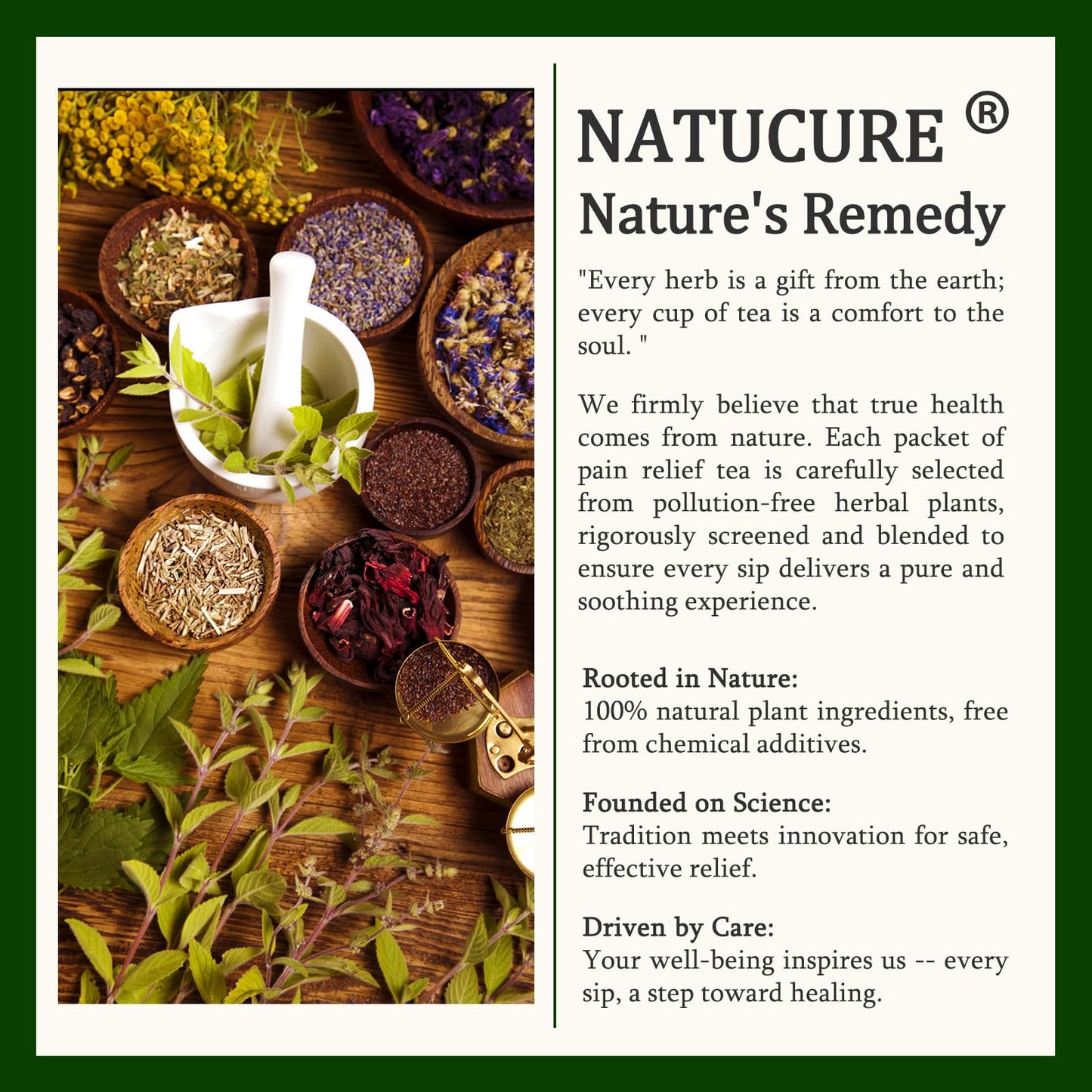 DERMFREE Natural Soothing Instant Formula for Nerve & Joint Health, Fast-Acting Migraine Relief, Nerve Savior for Neuropathy - Maple Wellness Supplements