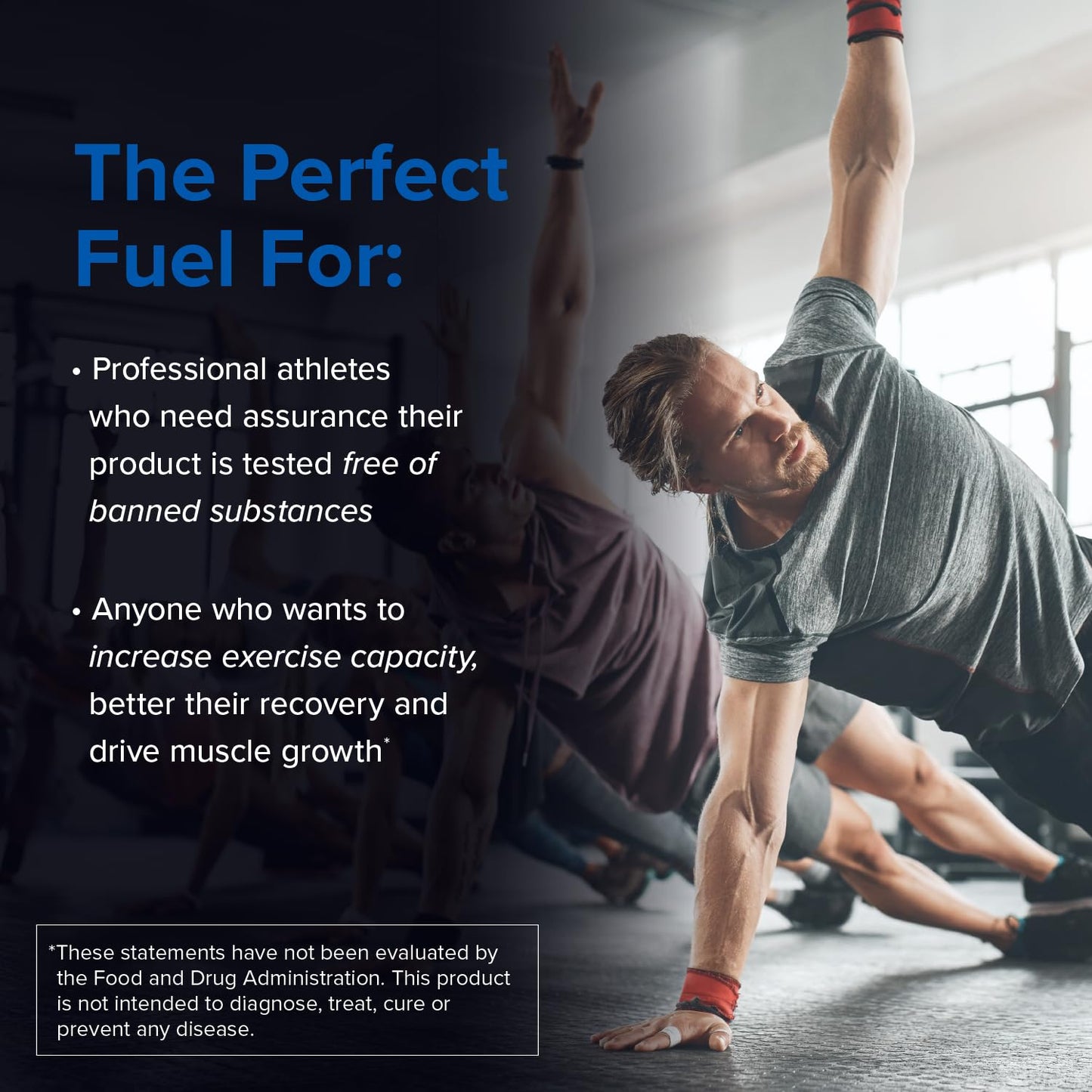 Designs for Sport Creatine Monohydrate Powder - NSF Certified for Sport Creatine - Maple Wellness Supplements