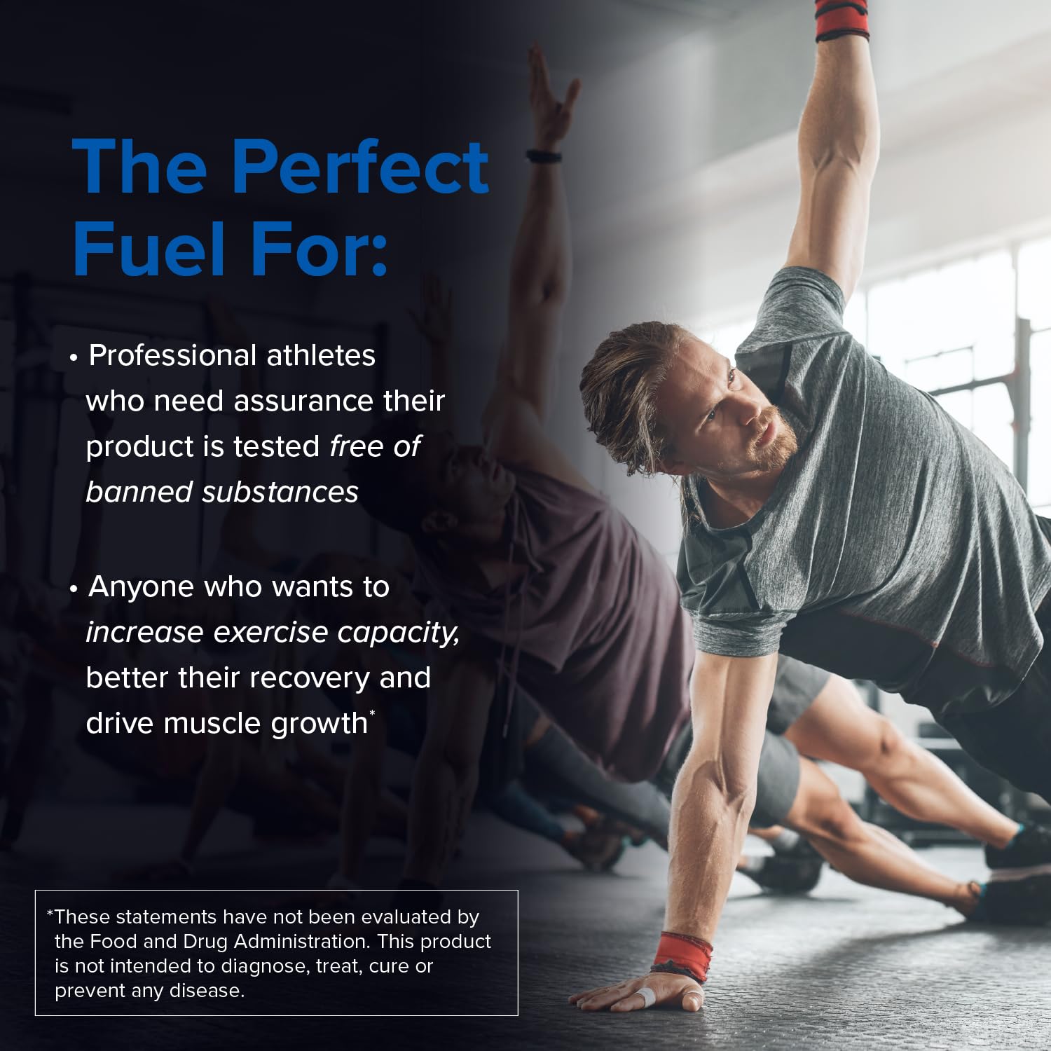 Designs for Sport Creatine Monohydrate Powder - NSF Certified for Sport Creatine - Maple Wellness Supplements