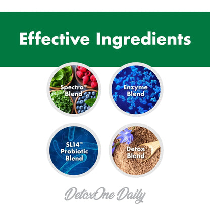 DetoxOne Daily Gut Health Powder* | Supports Normal/Healthy Digestive Function*| Promotes Detoxification*| Boost Energy & Improves Nutrient Absorption* - Maple Wellness Supplements