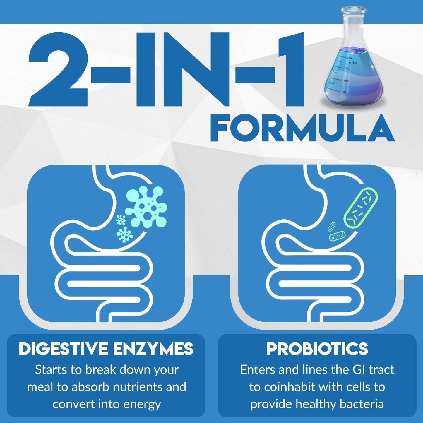 Digest Complete 2-in-1 Probiotic Digestive Enzymes, 60 Capsules - Maple Wellness Supplements