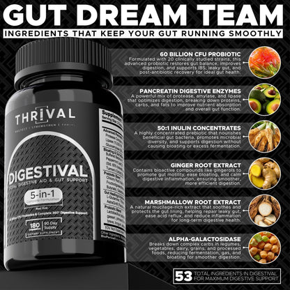 DIGESTIVAL 5-in-1 Gut Health Formula: Probiotics, Prebiotics, Enzymes, Gut Healing & Bloat Relief with 53 Ingredients, 60 Billion CFU, and Advanced Support for IBS, - Maple Wellness Supplements