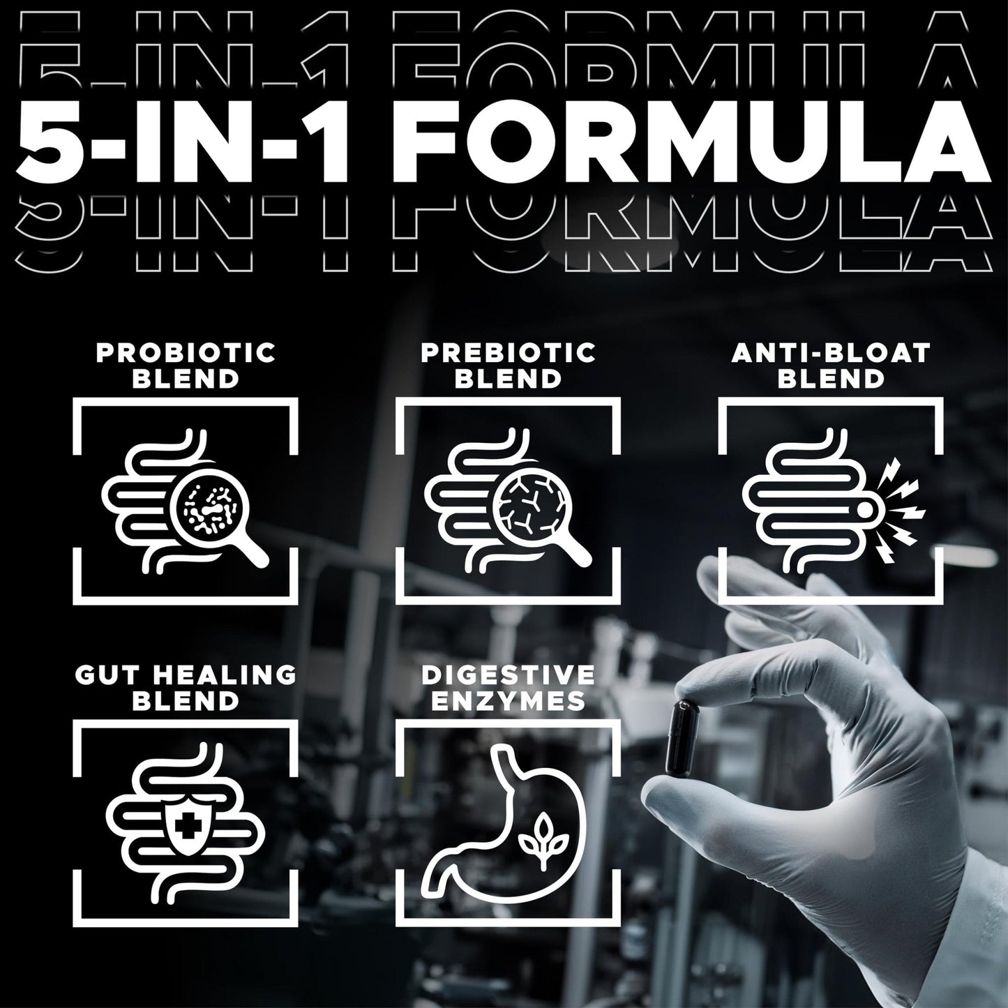 DIGESTIVAL 5-in-1 Gut Health Formula: Probiotics, Prebiotics, Enzymes, Gut Healing & Bloat Relief with 53 Ingredients, 60 Billion CFU, and Advanced Support for IBS, - Maple Wellness Supplements