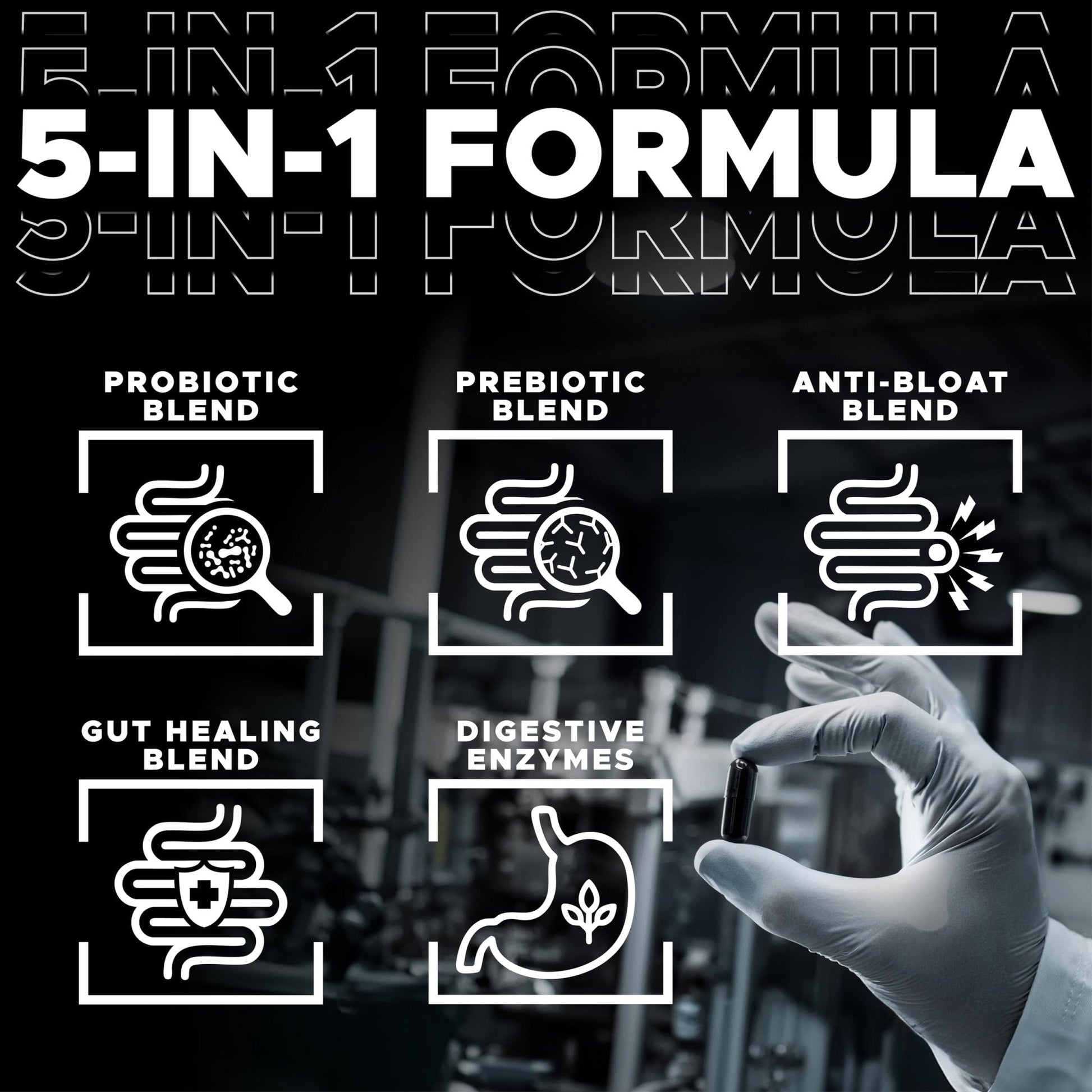 DIGESTIVAL 5-in-1 Gut Health Formula: Probiotics, Prebiotics, Enzymes, Gut Healing & Bloat Relief with 53 Ingredients, 60 Billion CFU, and Advanced Support for IBS, - Maple Wellness Supplements