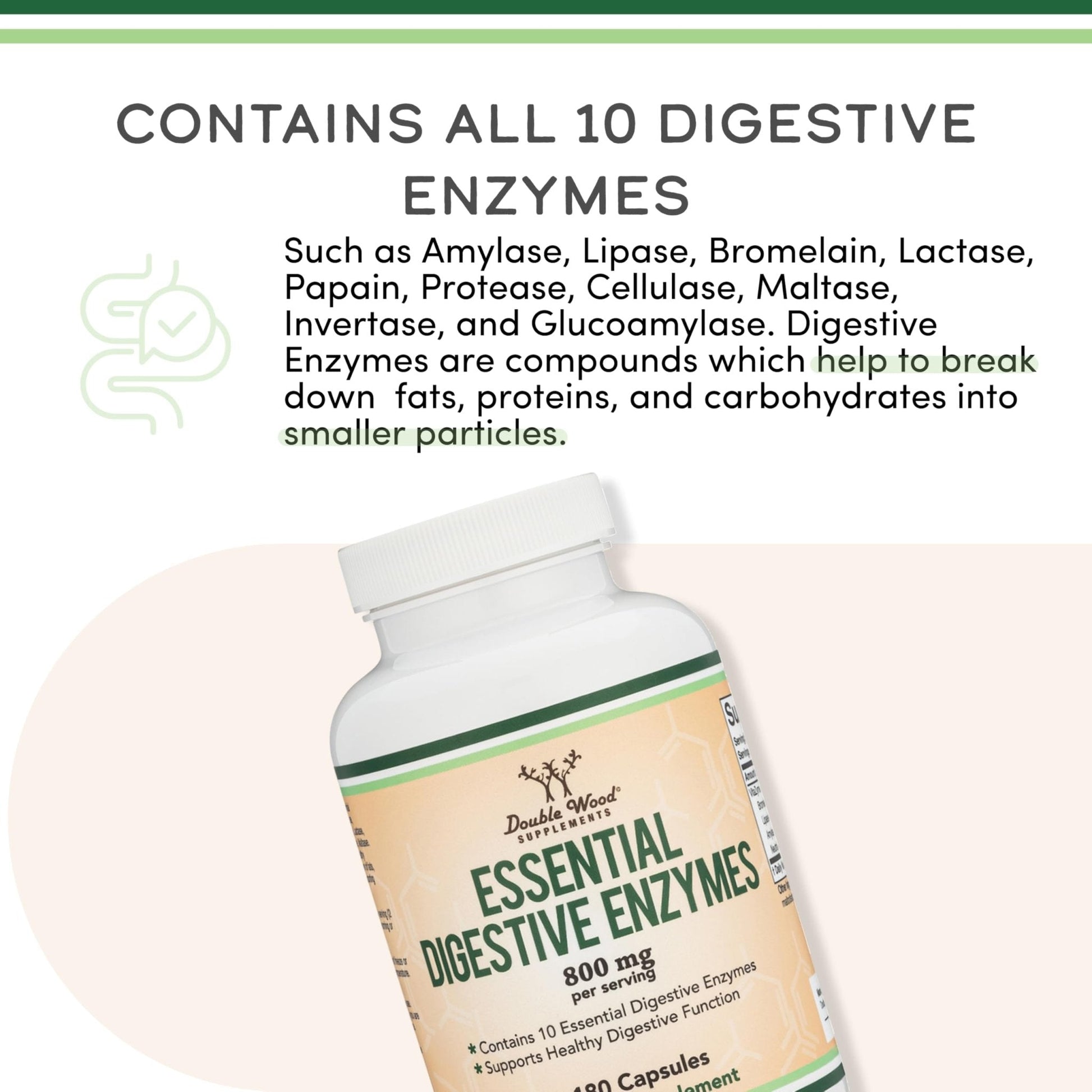 Digestive Enzymes - 800mg Blend of All 10 Most Essential Digestive and Pancreatic Enzymes (Amylase, Lipase, Bromelain, Lactase, Papain, Protease - Maple Wellness Supplements