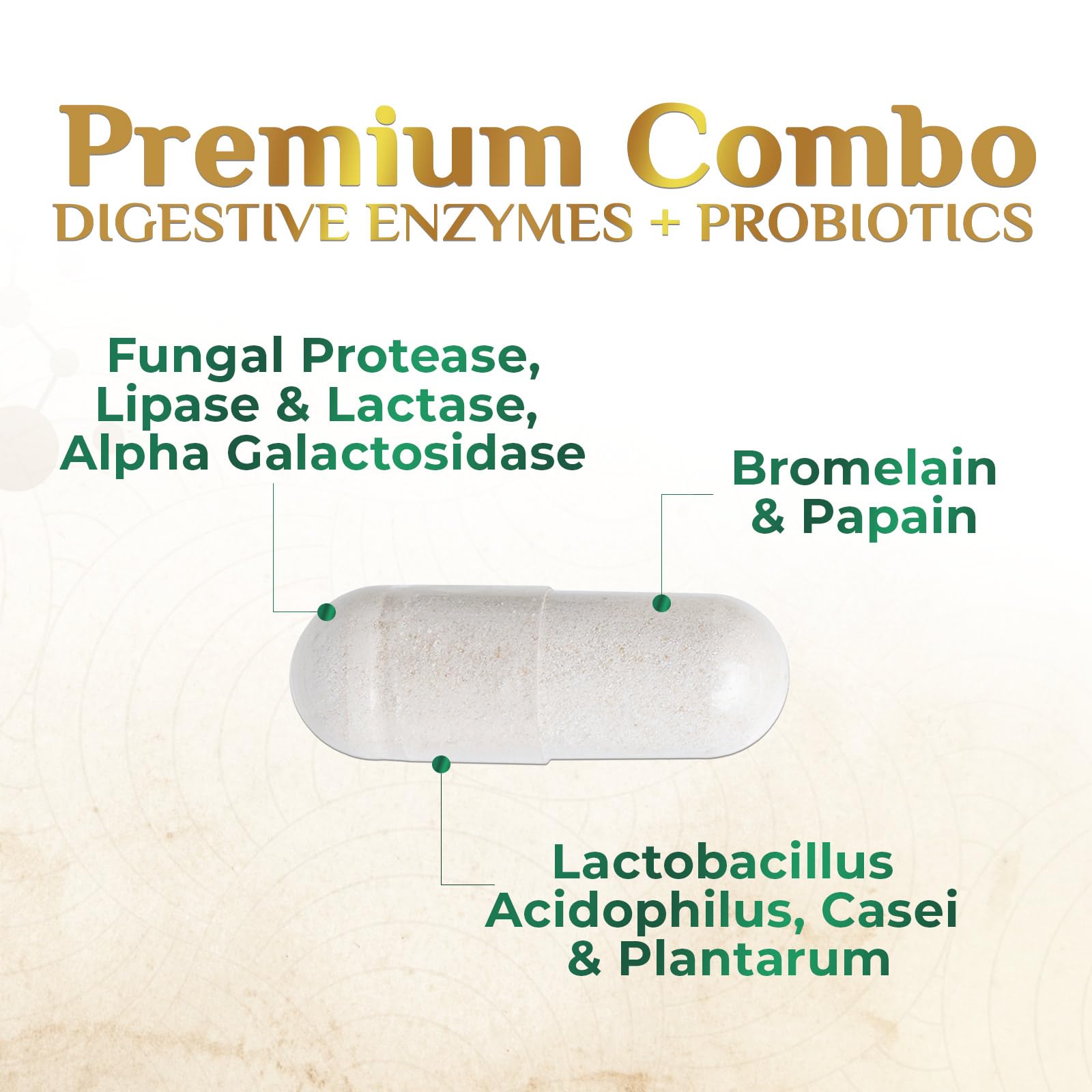 Digestive Enzymes - Super Digestive Multi Enzyme Complex for Bloating & Gut Health Support with Bromelain, Papain, Probiotics & Prebiotics - Digestion Health - Maple Wellness Supplements