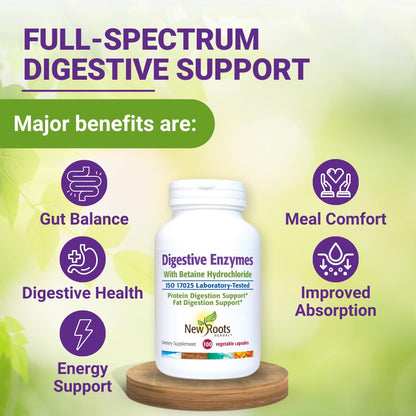 Digestive Enzymes with Ox Bile and Betaine HCl (100 Caps) Ox Bile Supplements for No Gallbladder with Papain & Pepsin A | Pancrease Cleanse & Detox - Maple Wellness Supplements