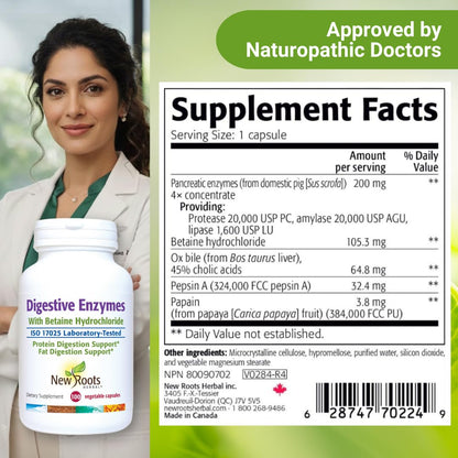 Digestive Enzymes with Ox Bile and Betaine HCl (100 Caps) Ox Bile Supplements for No Gallbladder with Papain & Pepsin A | Pancrease Cleanse & Detox - Maple Wellness Supplements