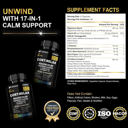 DLNIA Super Calm Cortisol Supplement with Magnesium Glycinate, Ashwagandha KSM-66, L-Theanine, Phosphatidylserine, Ginkgo Biloba & Lions Mane for Calm, Focus, Mental Clarity, Relaxation, Sleep, Energy - Maple Wellness Supplements