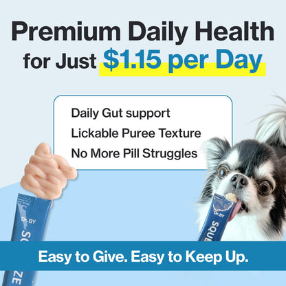 Doctor By Squeeze Probiotics for Dogs Gut Health Immunity Skin&Allergy Care Diarrhea Relief Digestive Stomach Support with L. crispatus KT-11 Lickable Paste Formula Individually Packaged, Chicken - Maple Wellness Supplements