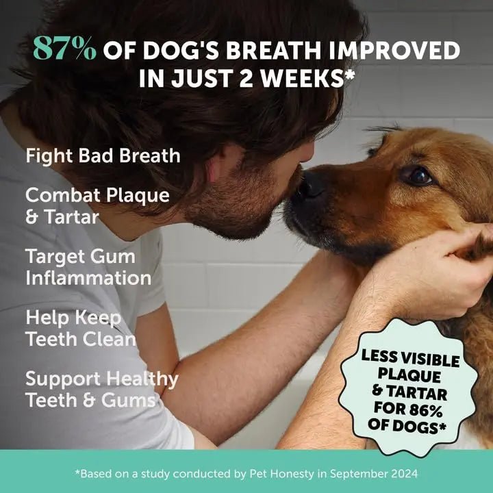 Dog Breath Freshener Dental Powder for Teeth Cleaning Plaque Off, Dental Care for Dogs, Tartar Remover for Teeth with Natural Herbal Blend + Postbiotics (Mint - 30 Servings) - Maple Wellness Supplements