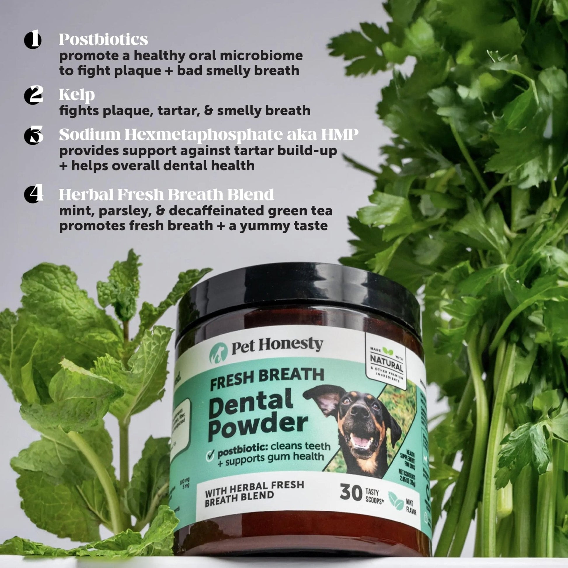 Dog Breath Freshener Dental Powder for Teeth Cleaning Plaque Off, Dental Care for Dogs, Tartar Remover for Teeth with Natural Herbal Blend + Postbiotics (Mint - 30 Servings) - Maple Wellness Supplements