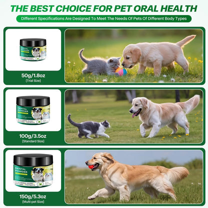 Dog Dental Powder for Teeth Cleaning Plaque & Bad Breath Off, Dental Powder for Dogs Teeth with Natural Herbal Blend & Postbiotics, Dog Teeth Cleaning Powder with Enzymes for Dogs & Cats (3.5oz) - Maple Wellness Supplements