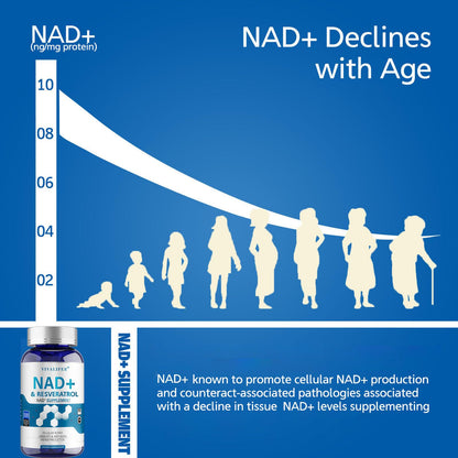 DQQI NMN Supplement Alternative 1500 mg - 120 Capsules (40 Day Supply) High Purity NAD+ & Resveratrol for Anti-Aging, Antioxidant Support, Energy & Focus Boost - Maple Wellness Supplements