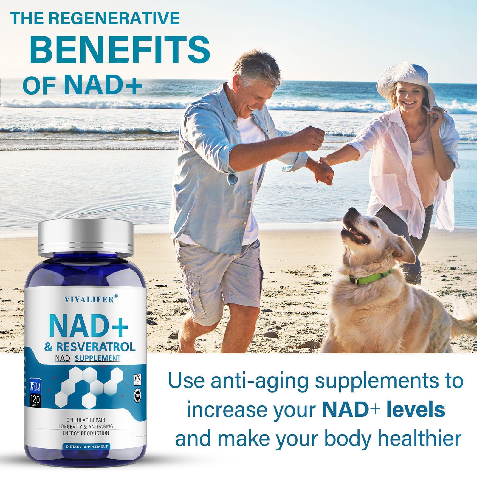 DQQI NMN Supplement Alternative 1500 mg - 120 Capsules (40 Day Supply) High Purity NAD+ & Resveratrol for Anti-Aging, Antioxidant Support, Energy & Focus Boost - Maple Wellness Supplements