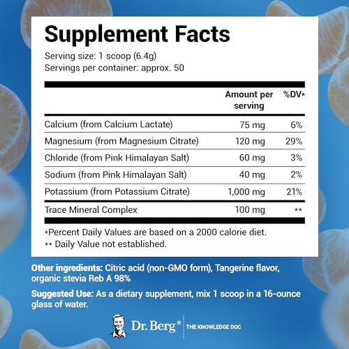 Dr. Berg Hydration Keto Electrolyte Powder - Enhanced w/ 1,000mg of Potassium - Maple Wellness Supplements