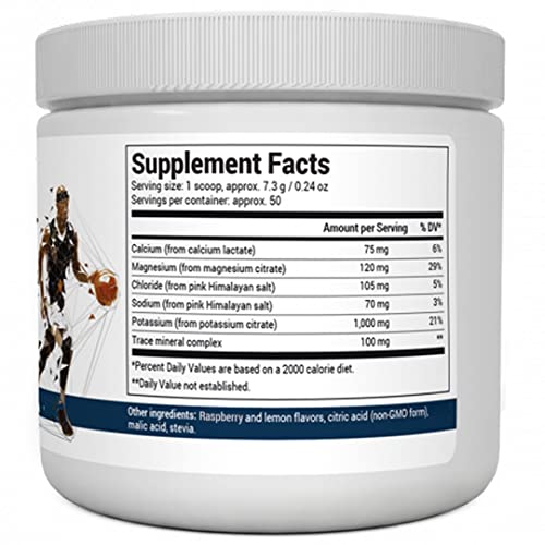 Dr. Berg's Electrolyte Sports Drink - Sugar Free Electrolyte Powder - No Maltodextrin - Maple Wellness Supplements