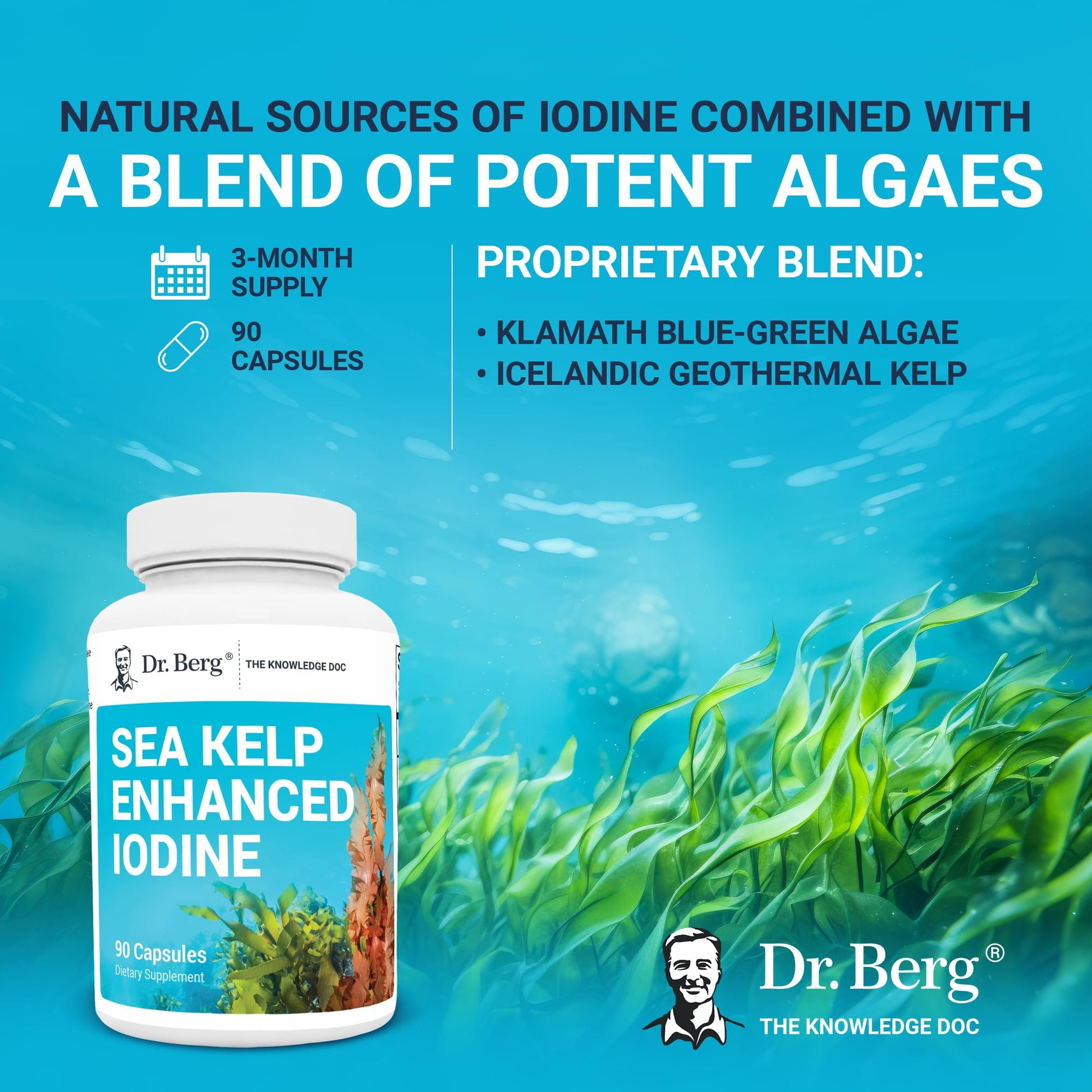 Dr. Berg's Sea Kelp Enhanced - Pure Healthy Thyroid Support Natural Antioxidants - Maple Wellness Supplements
