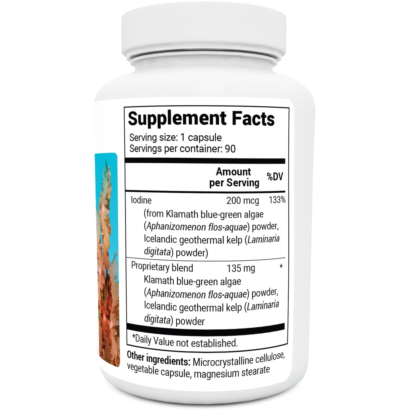Dr. Berg's Sea Kelp Enhanced - Pure Healthy Thyroid Support Natural Antioxidants - Maple Wellness Supplements
