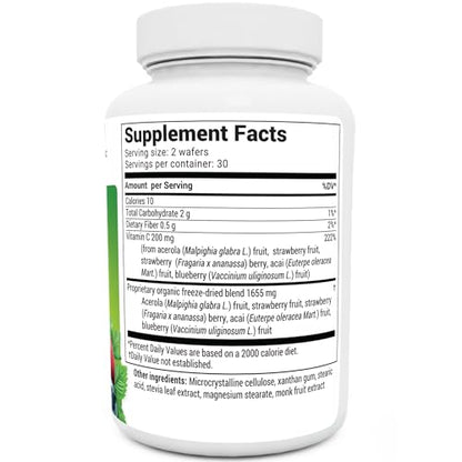Dr. Berg's Vitamin C Complex Whole Food (60 Chewable) 100% Natural Vitamin C from - Maple Wellness Supplements