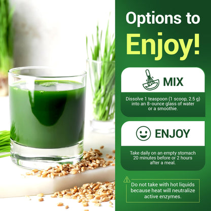 Dr. Berg's Wheatgrass Superfood Powder - Raw Juice Organic Ultra-Concentrated Rich - Maple Wellness Supplements