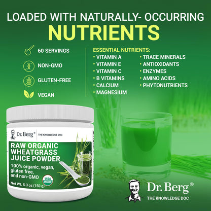 Dr. Berg's Wheatgrass Superfood Powder - Raw Juice Organic Ultra-Concentrated Rich - Maple Wellness Supplements