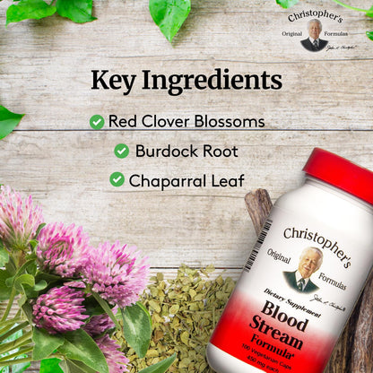 DR. CHRISTOPHER'S Formulas Blood Stream Formula, 100 Cap - Maple Wellness Supplements