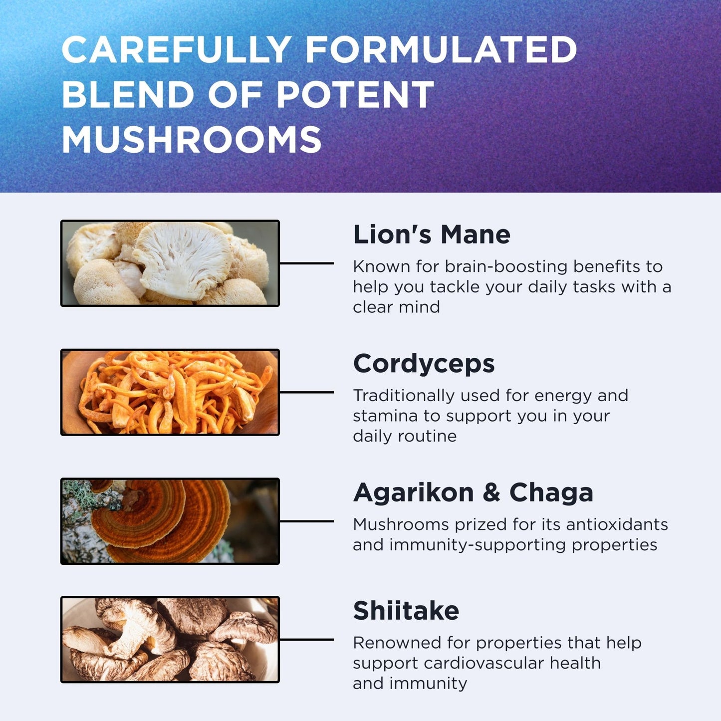 DR. EMIL NUTRITION 10 Mushroom Supplement for Mental Clarity, Focus & Immune Support - Functional Mushroom Nootropic Supplement with Lions Mane Extract, Cordyceps, Turkey Tail & More - Maple Wellness Supplements