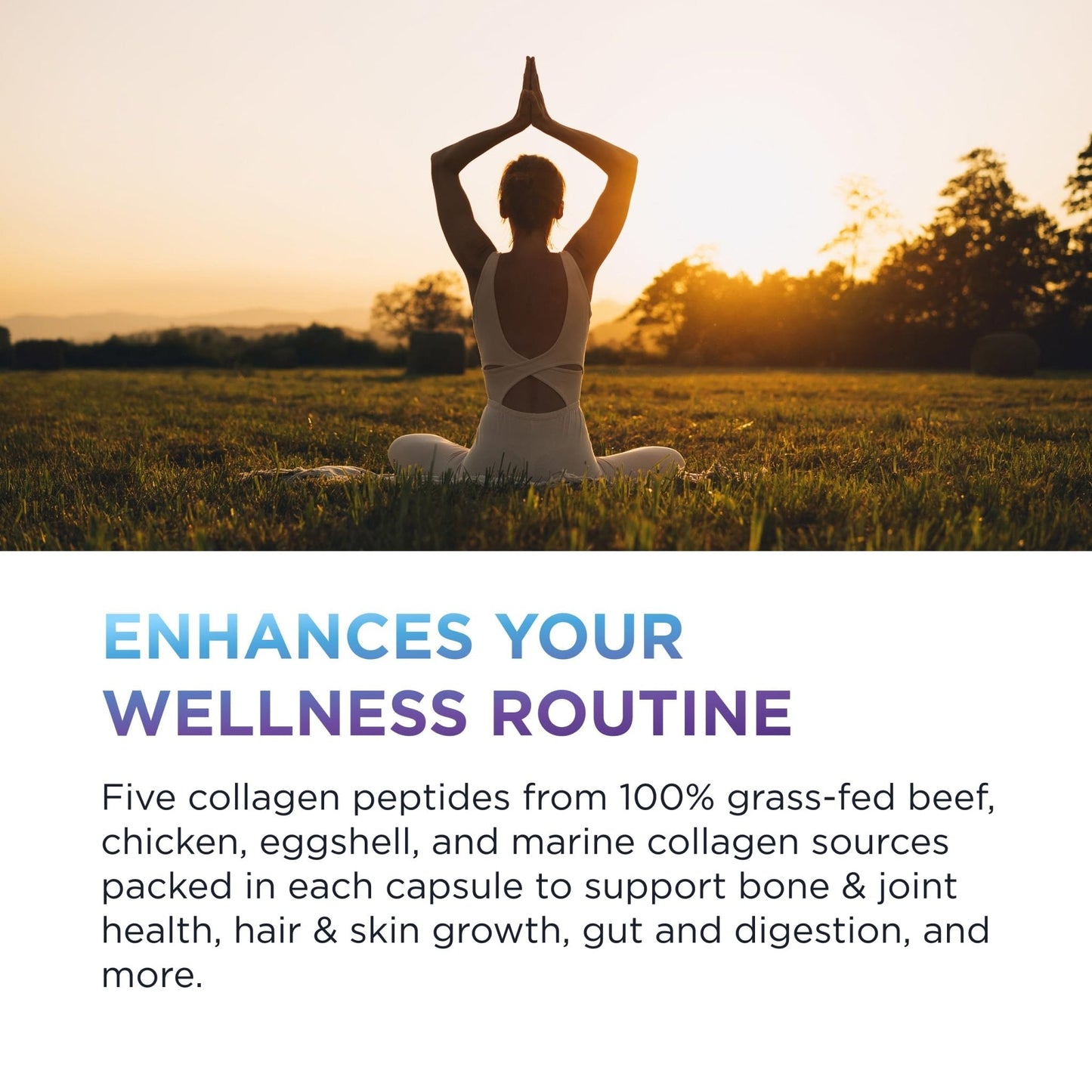 DR. EMIL NUTRITION Women's Multi Collagen Pills | Collagen Supplements | Support Hair, Skin, Nails & Joints | Hydrolyzed Collagen Supplements - Maple Wellness Supplements